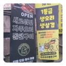 오리고집 이미지