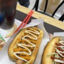 스테프핫도그&커피울산 네이버블로그