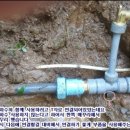 나주토하젓 이미지