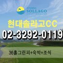 현대골프장1 네이버블로그
