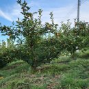 현수농장 이미지