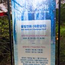 상영이네 | 창경궁 야간개장 예약 예매 방법 물빛연화 시간 전체 상영 방문 후기