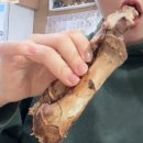 평화육남매왕족발 이미지
