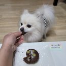 쿠잉루찌 이미지