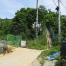 구룡달전로 이미지