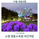 효원가든 | 수원 가볼만한 곳 영흥수목원 야간개장 후기 밤빛정원