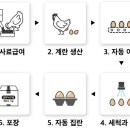 혁신농장 이미지