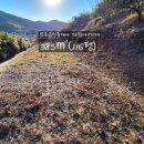 박종호 농장 이미지