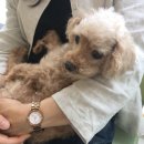 유림동물병원 이미지