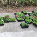 부곡2리경로당 이미지