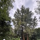 251105 이재명 재판중지법 제동… &#34;정청래 자기정치 경고&#34; 이미지