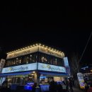 오징어와친구들 | 대전 대흥동 오징어와 친구들 생우럭탕, 오징어회 후기