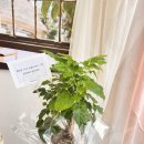 중앙동142 이미지