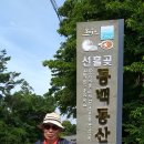 동백동산 이미지