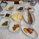 바이올독 푸드 이미지