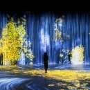 스타사파리(star safari) 이미지