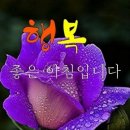 오늘은 - 마포구 어울마당로 100-8 | 오늘은