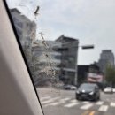 나우세차장 | 워시나우 송파하남점 노터치 세차장 이용후기 가격 정보