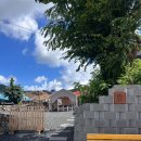 남해 돈섬 이미지