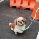 고려온천아파트 이미지