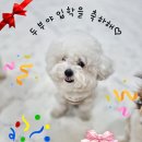 개스트룸 이미지