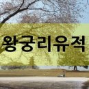 도미노 피자 익산 영등점 이미지