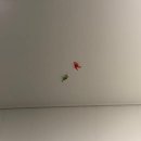 라라랜드 풀빌라 이미지