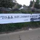 오은숙