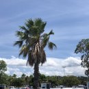 슬립웰 헬스케어 | 병주고 약주고 제주여행