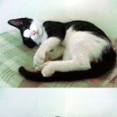 서원동-12 이미지