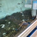 온다ONDA, 동해 이미지