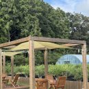 장성주유소 | 장성 카페 따리네시아, 진짜 블루베리 가득🫐