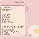 명품정 | [명품정/가방수선] 에르메스 에르백 복원 후기
