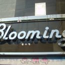 블루밍 모텔 이미지