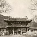 수원-1907 이미지