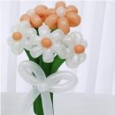 데이도노 이미지