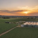 회선농장 이미지