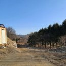 경기광주 딸기체험-향아농원