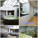 1st WELLNESS CENTER 이미지