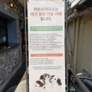 성남불교사 이미지