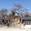 가곡1리 경로당 이미지