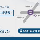 더와이즈