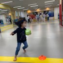 고색태권도장 이미지