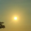 주포농장 이미지