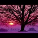 Richard Clayderman Love song in winter Winter Sonata 이미지