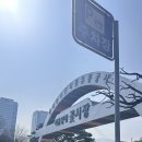 양재시장 | 봄맞이 꽃 사러 다녀온 양재꽃시장 후기 운영시간부터 구매팁까지