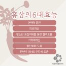 홍삼의 효능/홍삼의 부작용 이미지