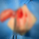 새은평동물의료센터 이미지