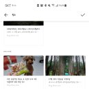 1027하우스 이미지