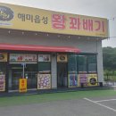 해미식품 | 대부도 해미읍성 왕 꽈배기, 고급형 2모터 에어커튼 2대 설치! 포도밭이 날벌레를 데려갔다?